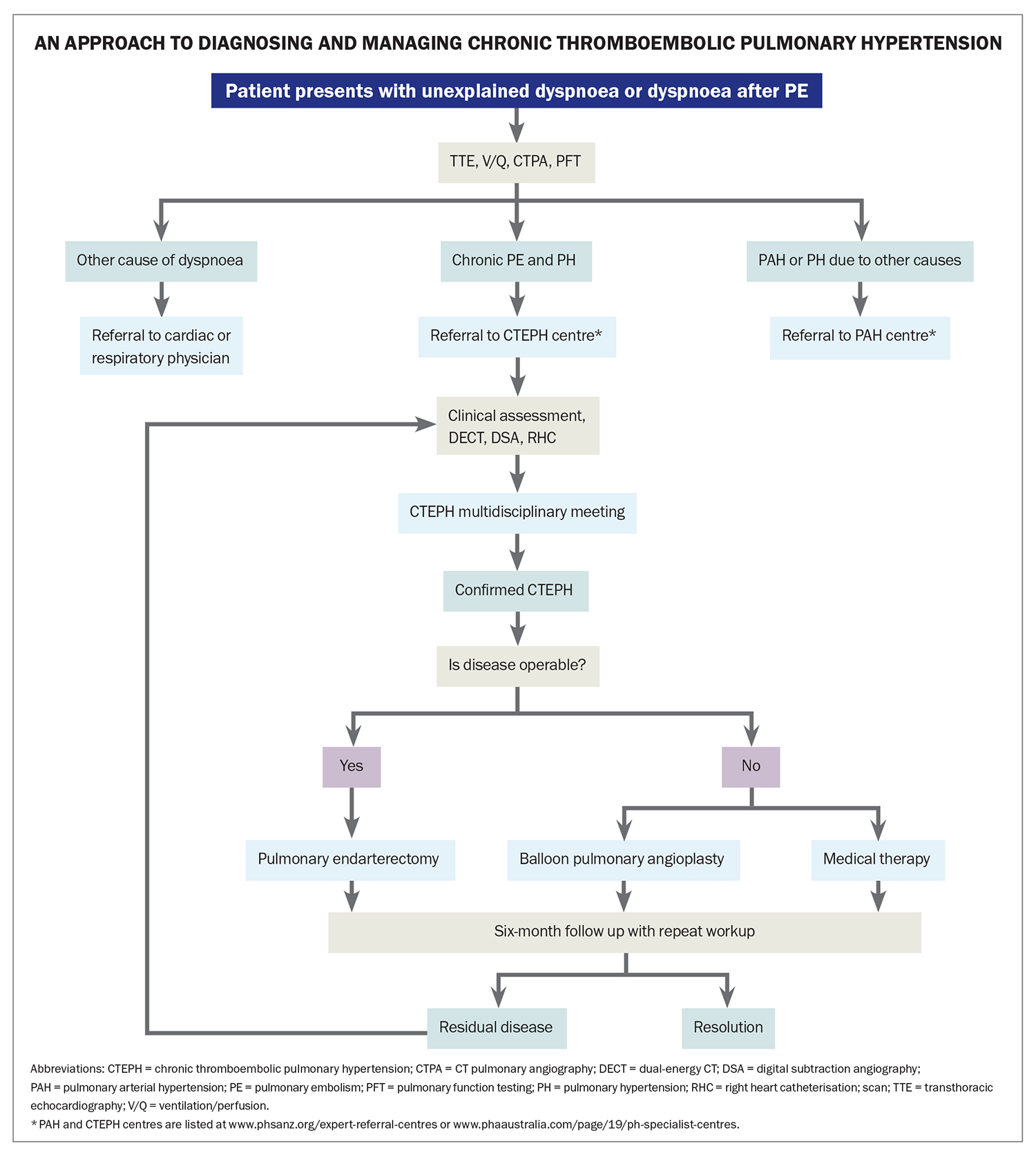 Chronic thromboembolic pulmonary hypertension: an overview